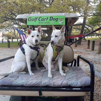 Patrick Veterinary Clinic - This is how we roll. - Veterinarians Near Me - Charleston, South Carolina Patrick Veterinary Clinic - This is how we roll. - Veterinarians Near Me - Charleston, South Carolina