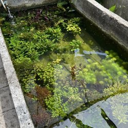 Neighborhood Fish Farm