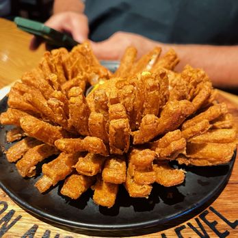 Outback Steakhouse - Bloomin' Onion - Steakhouses Near Me - Tampa, Florida Outback Steakhouse - Bloomin' Onion - Steakhouses Near Me - Tampa, Florida