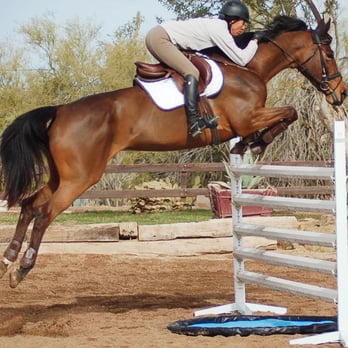 M & M Ranch - Monica and her mare Llorona. - Horseback Riding Near Me - Scottsdale, Arizona M & M Ranch - Monica and her mare Llorona. - Horseback Riding Near Me - Scottsdale, Arizona