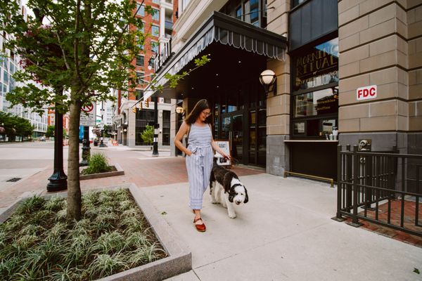 LC RiverSouth by null