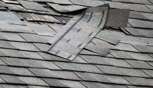 Slide of Roof Nation