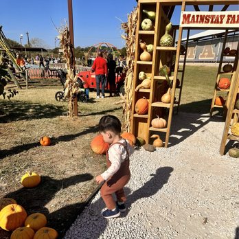 Mainstay Farm - Lots of space to run around - Venues & Event Spaces Near Me - Cleburne, Texas