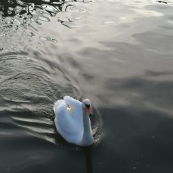 Tønsberg Brygge