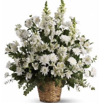 K. Mike Whittle Designs - Florists Near Me - Marietta, Georgia K. Mike Whittle Designs - Florists Near Me - Marietta, Georgia