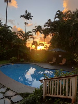 Orchid Tree Bed & Breakfast by null