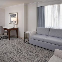Hilton Washington DC/Rockville Hotel & Executive Meeting Ctr - Guest room
