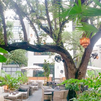 Aba - Unreal outside area! - Mediterranean Near Me - Austin, Texas Aba - Unreal outside area! - Mediterranean Near Me - Austin, Texas