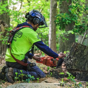 Capasso Landscaping - Capasso Landscaping stump grinding - Snow Removal Near Me - Bethany, Connecticut
