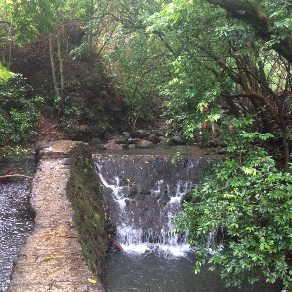 Lulumahu Falls - Dam don't go up the hill. Cross this then cross back and continue close to the water. - Hiking Near Me - Honolulu, Hawaii Lulumahu Falls - Dam don't go up the hill. Cross this then cross back and continue close to the water. - Hiking Near Me - Honolulu, Hawaii