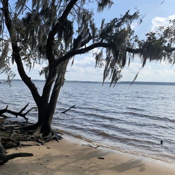 Goose Creek State Park - Waterfront - Parks Near Me - Washington, North Carolina