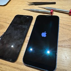Best Phone Fix