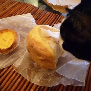 Double Crispy Bakery - Macau Style Egg Tart and Sponge Cake.  My cat likes them..?! - Bakeries Near Me - New York, New York