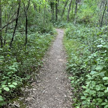 Quarry Hill Nature Center - A trail - Hiking Near Me - Rochester, Minnesota Quarry Hill Nature Center - A trail - Hiking Near Me - Rochester, Minnesota