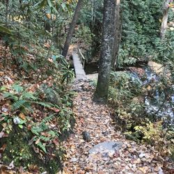 Hemlock Falls Trail - The Bridge
