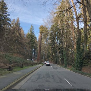Stanley Park - Parks Near Me - Vancouver, British Columbia Stanley Park - Parks Near Me - Vancouver, British Columbia