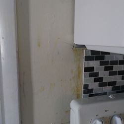 Shores Terrace Resort - Didnt Even finish the kitchen