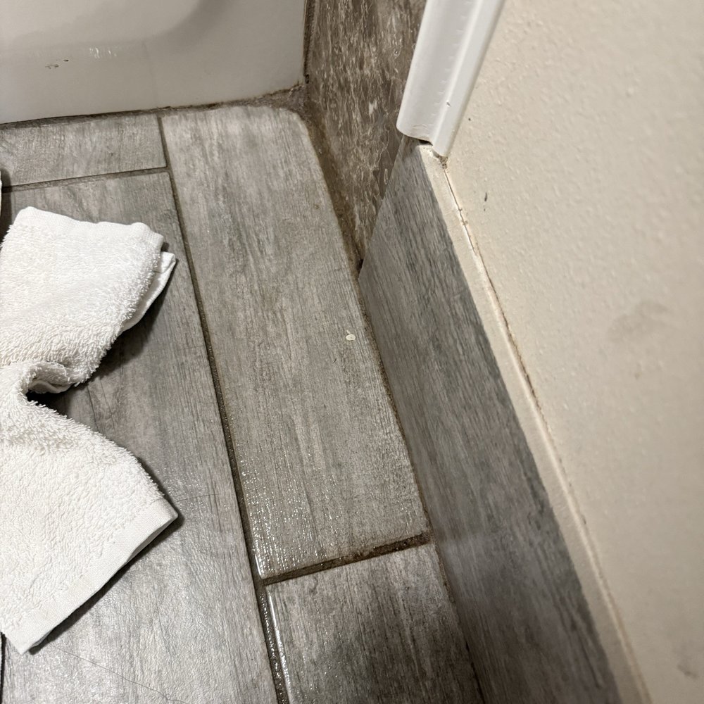 Quality Inn - Another shot of mold on tiles - Hotels Near Me - Decherd, Tennessee Quality Inn - Another shot of mold on tiles - Hotels Near Me - Decherd, Tennessee