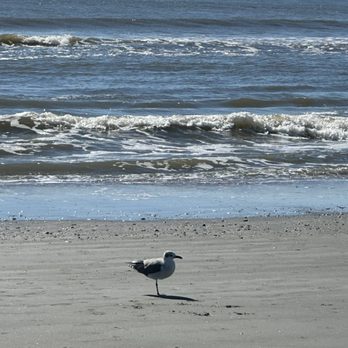 Folly Beach - Morning beach view - Beaches Near Me Folly Beach - Morning beach view - Beaches Near Me