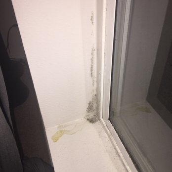 Cambridge Crossing - Water damage due to the cracked window sill, and of course.. more black Mold - Apartments Near Me - Beaverton, Oregon Cambridge Crossing - Water damage due to the cracked window sill, and of course.. more black Mold - Apartments Near Me - Beaverton, Oregon