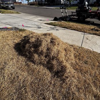 Cody’s Noco Lawn Care - Lawn Services Near Me - Windsor, Colorado Cody’s Noco Lawn Care - Lawn Services Near Me - Windsor, Colorado
