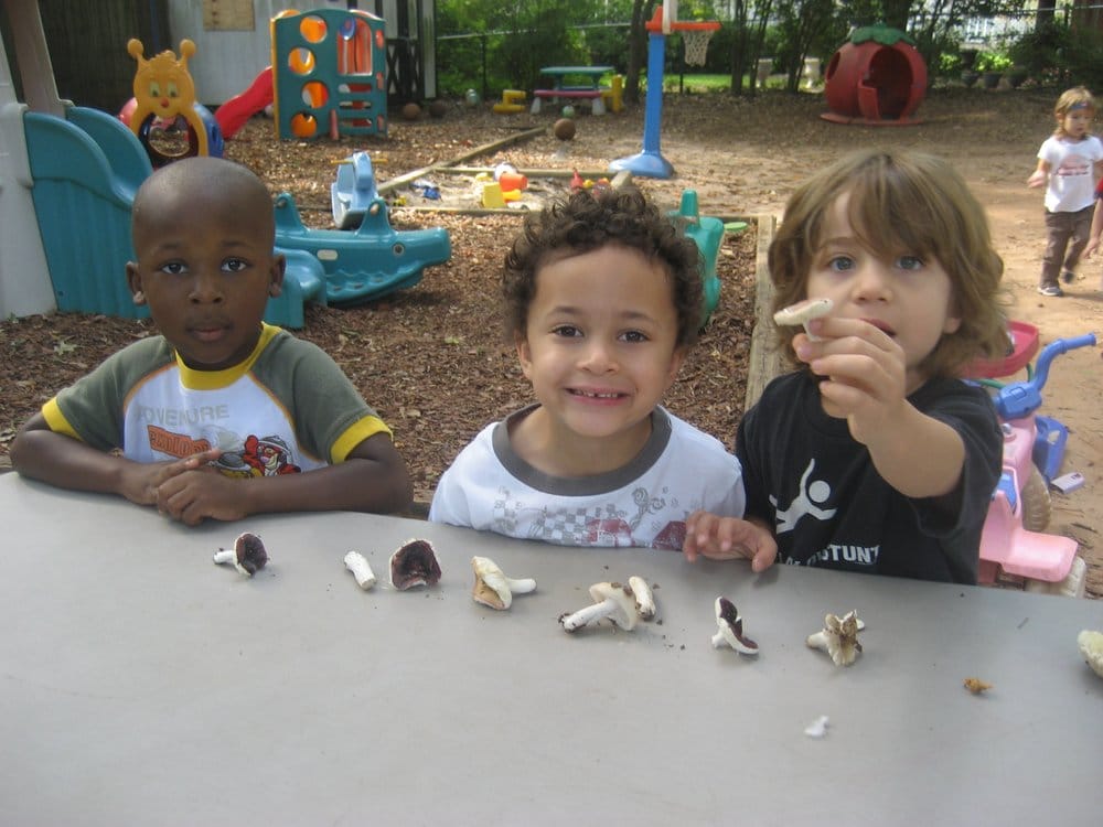 Sylvan Hills Day Nursery - childcare center in Atlanta, GA