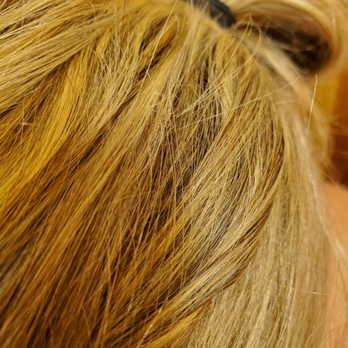 Salon D'Artista - Looks Golden to me - Hair Salons Near Me - Deer Park, New York Salon D'Artista - Looks Golden to me - Hair Salons Near Me - Deer Park, New York