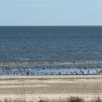 Shaggy's Gulfport Beach - Bars Near Me - Gulfport, Mississippi