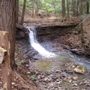 Photo of Rune Hill Sanctuary