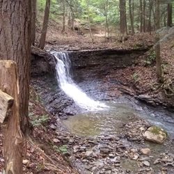 Rune Hill Sanctuary