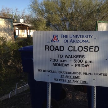 Tumamoc Hill - Take note of the times! - Hiking Near Me - Tucson, Arizona