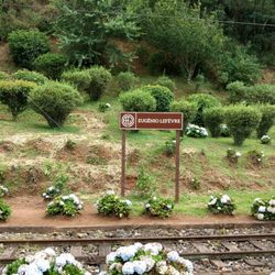 Estação Eugênio Lefevre - ..