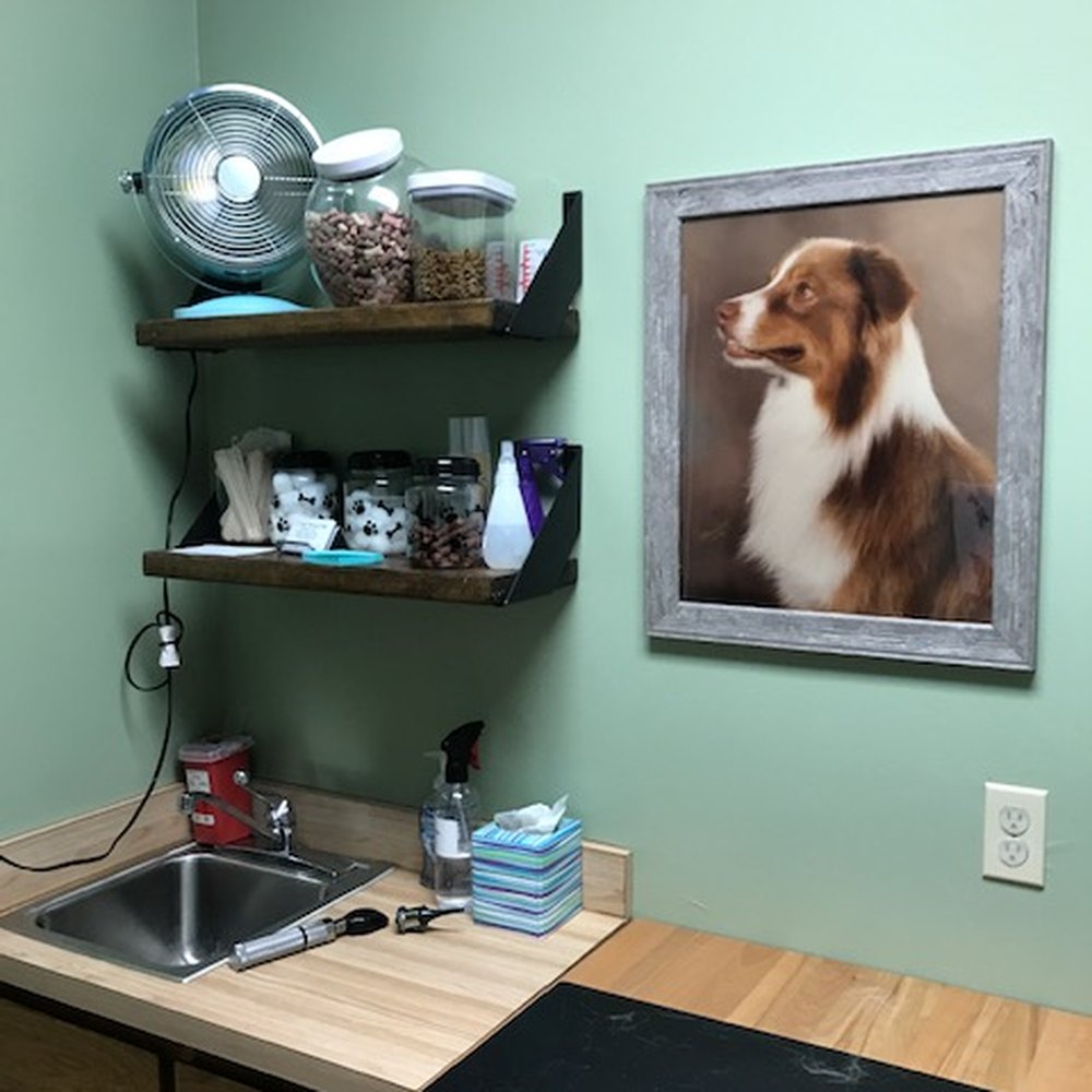 Craig Thomas DVM - Veterinarians Near Me - Bethany, Oklahoma Craig Thomas DVM - Veterinarians Near Me - Bethany, Oklahoma