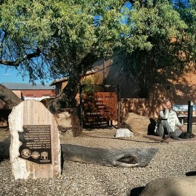 The Jail Tree by null