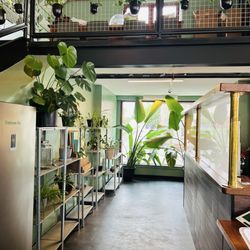 Intrinsic Cafe - Such a nice spot to spend time with your thoughts and coffee. So peaceful and serene.