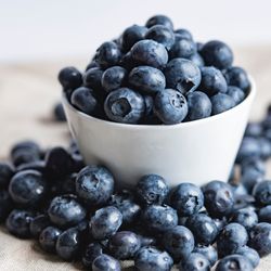 Albritton Fruit Company - Albritton Fruit Company