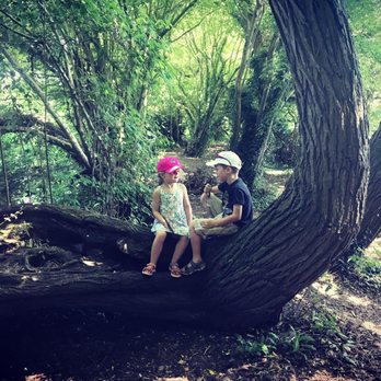 Hurley Riverside Park - Nature Trail - Campgrounds Near Me - Maidenhead, WNM Hurley Riverside Park - Nature Trail - Campgrounds Near Me - Maidenhead, WNM