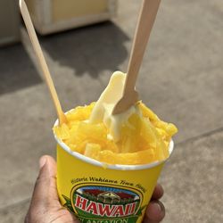 Go Tours Hawaii - Dole Plantation Pineapple Ice Cream
