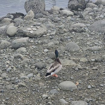 Stanley Park - Parks Near Me - Vancouver, British Columbia Stanley Park - Parks Near Me - Vancouver, British Columbia