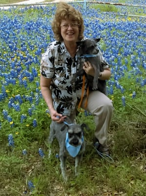 Tender Touch Dog Grooming