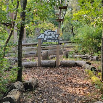 Go Ape - It is time!!! - Ziplining Near Me - Kansas City, Missouri