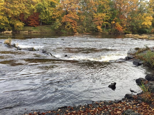 Llangoed Hall Hotel by null
