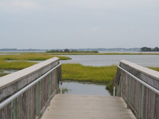 Assateague Island National Seashore by null