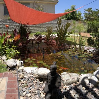 Koi Outlet - Local Fish Stores Near Me - El Monte, California