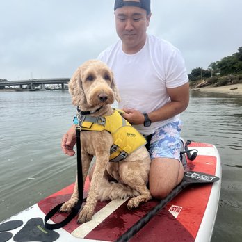 SUP Pups - Goldendoodle on a paddle board - Paddleboarding Near Me - San Diego, California