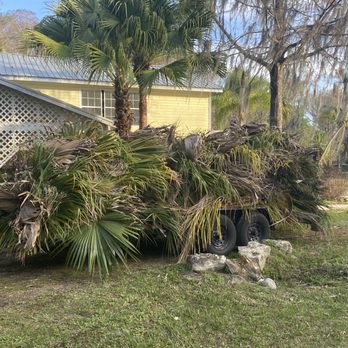 Goss Tree & Stump Removal - Tree Services Near Me