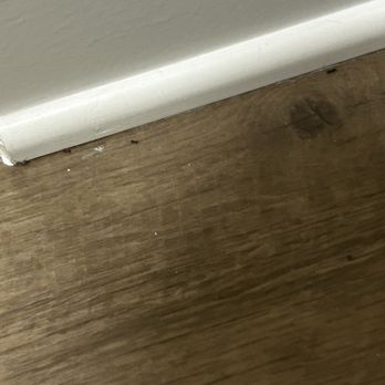Prose On The Range - Coming out of the baseboards - Apartments Near Me - San Antonio, Texas Prose On The Range - Coming out of the baseboards - Apartments Near Me - San Antonio, Texas