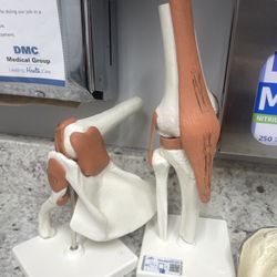 DMC Orthopaedics & Sports Medicine - Dearborn - Joint models
