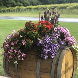 Gorgeous patio overlooking the vineyards. Gorgeous patio overlooking the vineyards.