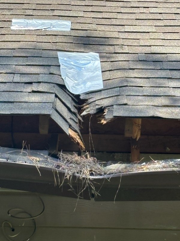 Slide of Texas Real Property Consultants